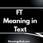 FT Meaning in Text