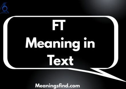 FT Meaning in Text