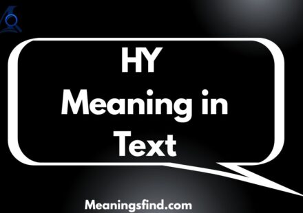 HY Meaning in Text
