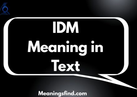 IDM Meaning in Text