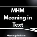 MHM Meaning in Text