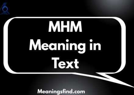 MHM Meaning in Text