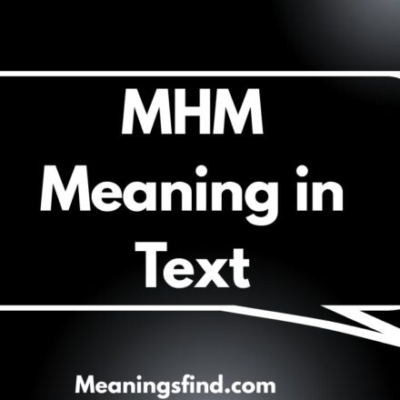 MHM Meaning in Text