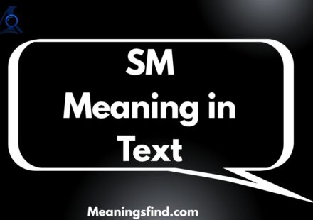 SM Meaning in Text