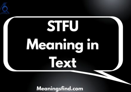 STFU Meaning in Text