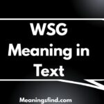 WSG Meaning in Text