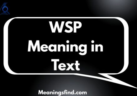 WSP Meaning in Text