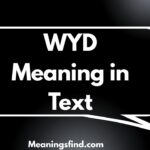 WYD Meaning in Text