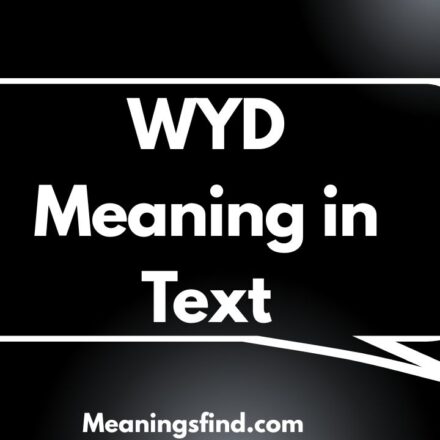 WYD Meaning in Text
