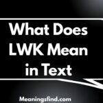 What Does LWK Mean in Text