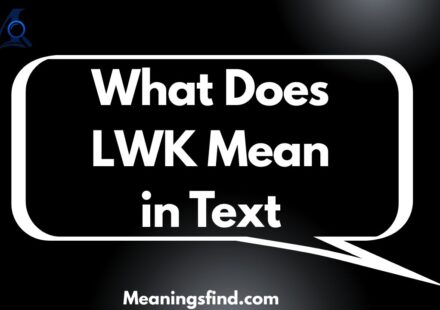 What Does LWK Mean in Text