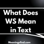 What Does WS Mean in Text