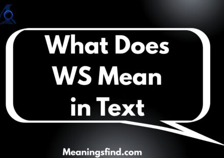 What Does WS Mean in Text