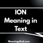 ION Meaning in Text