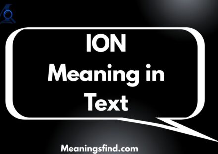 ION Meaning in Text