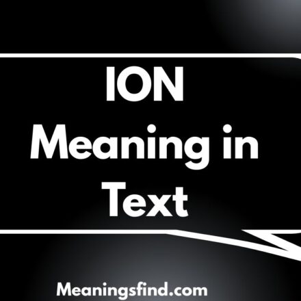 ION Meaning in Text